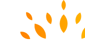 pattern-image
